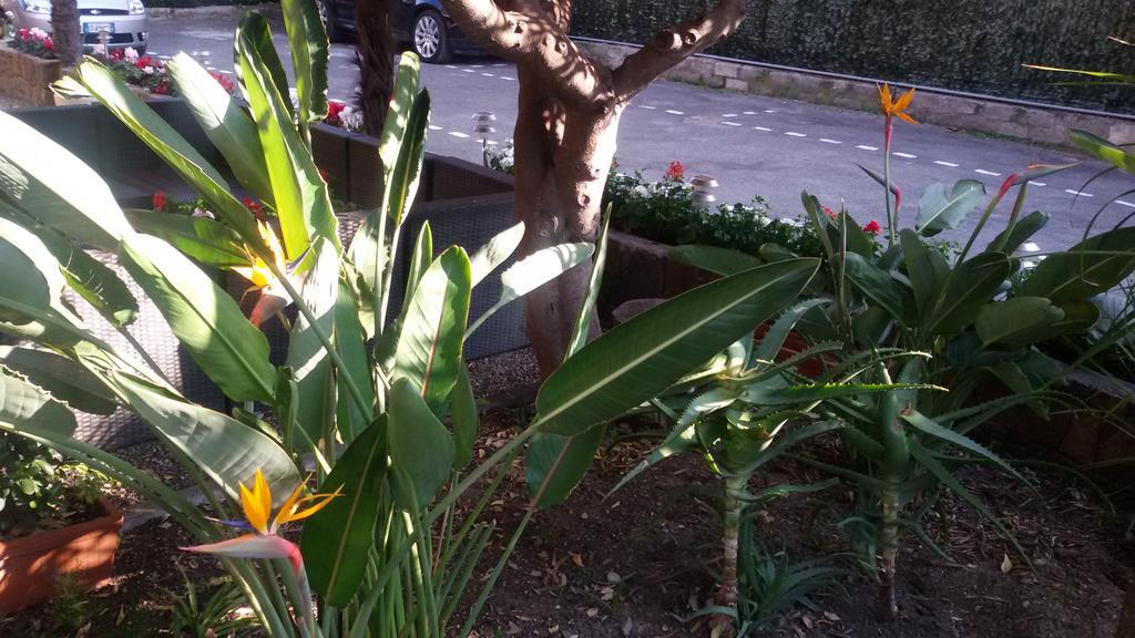 Hotel La Scogliera Bordighera Zewnętrze zdjęcie